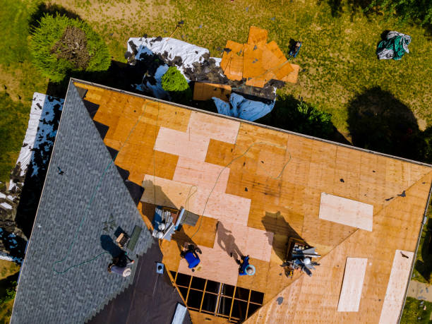 Best Roof Gutter Cleaning  in North Logan, UT